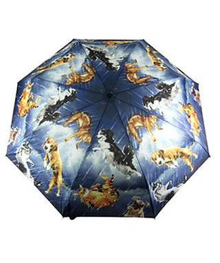 Illustration for article titled 13 Umbrellas To Keep You Dry and Looking Fly